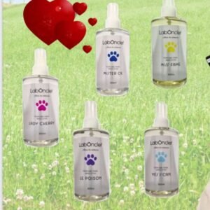 PHOTO-2026-02-02-09-54-31